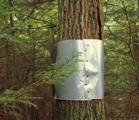 sheet metal tree|sheet metal for tree climbing.